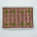 ANTEPZADE BAKLAVA COLD PISTACHIOS 1850GR 490030