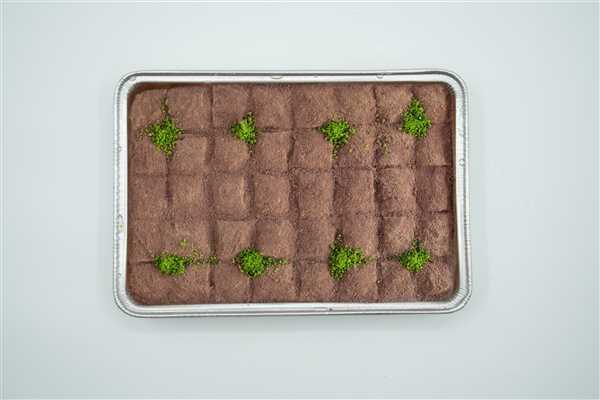 Product2217Image-2-1.jpg ANTEPZADE BAKLAVA COLD PISTACHIOS 1850GR 490030 - Image 1