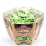 BALCA MARIET APPLE BOX HAZELNUT 850 GR X 8 330231